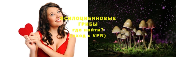 крисы Белоозёрский