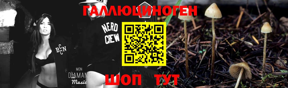 Бузулук  Псилоцибиновые грибы Psilocybine cubensis  Псилоцибиновые грибы мухоморы  Вход с VPN 